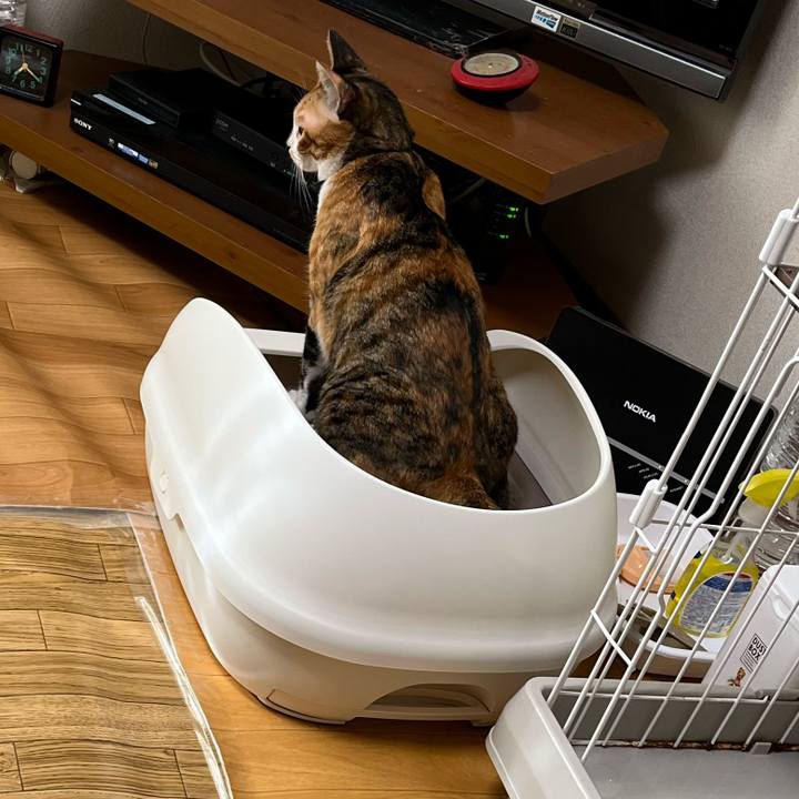 E5f131a9 99c2 45b2 ac36 a0eaf525f266 1726007436470