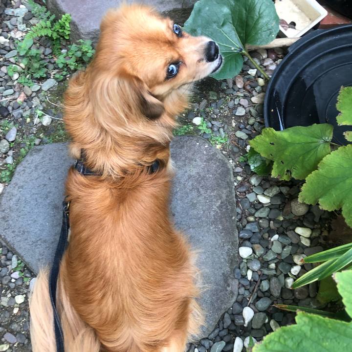 E5f1523a 0902 40c8 b0fb d5dbff9b2c7a 1535407793746