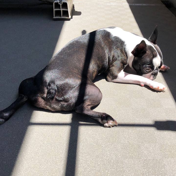 E5f16ec4 94d6 4877 86be f0a48228958d 1565222973033