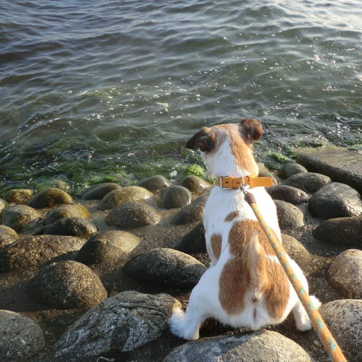 E5f19d78 e47f 47f6 9ad3 f478b3bfa01f 1529834617948