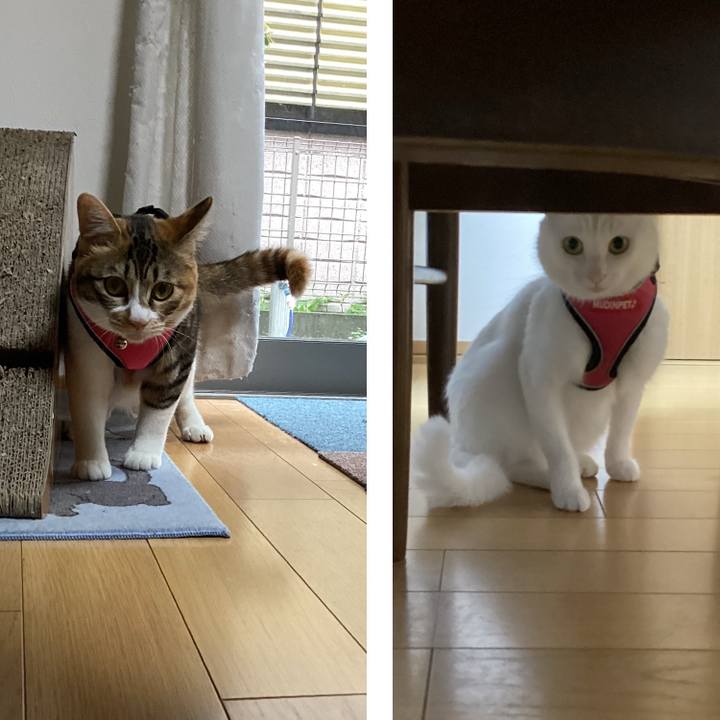 E5f1ba69 916e 432d 9fd9 3c55fef699b4 1652415069520