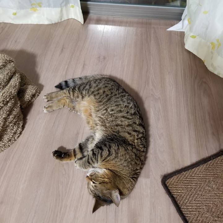 E5f1bf33 0fc8 48ac 8f5e 96730a8682a1 1607891482697