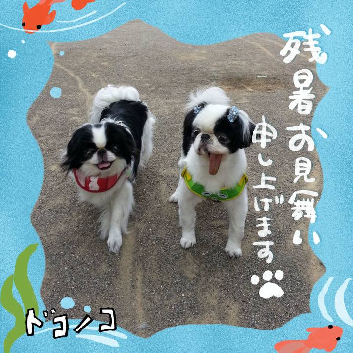 E5f1d338 0604 4e27 b827 2a7912b57037 1723358921093