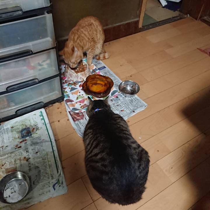 E5f1dca3 e051 4ae2 973b 588f0707d3b3 1655033934819