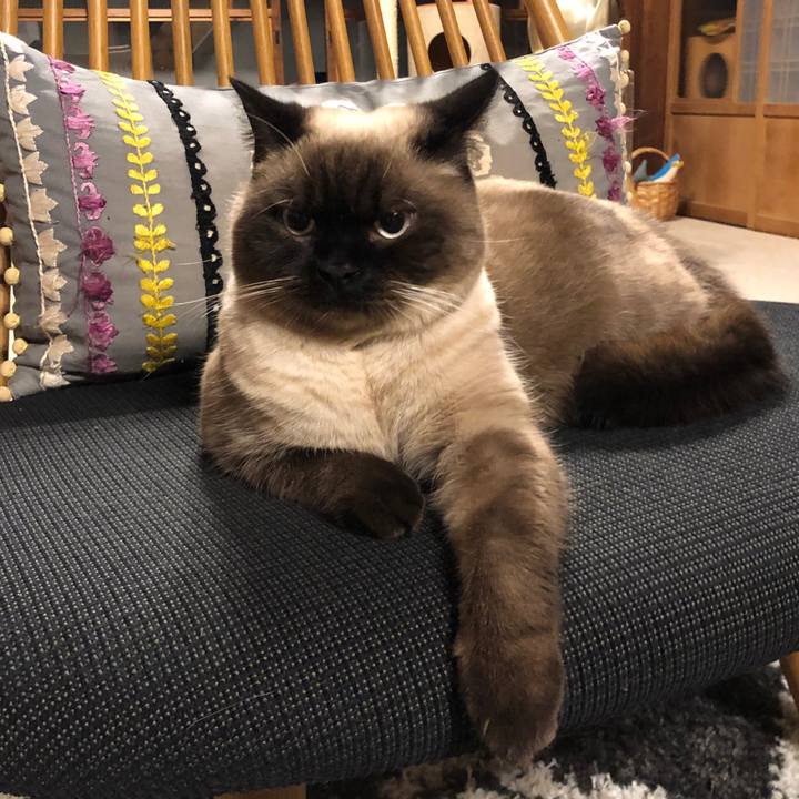 E5f1e55a 17e0 46b5 b6b7 994b54225ea4 1609934302085