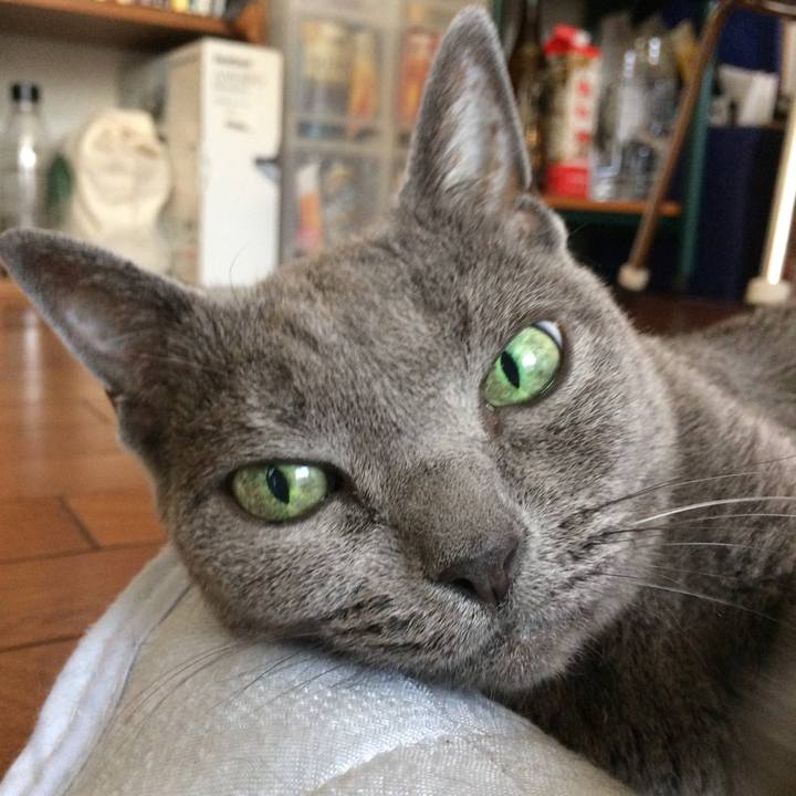 E5f1ea00 ab82 482d 8b4b 42f58c577a19 1533508876473