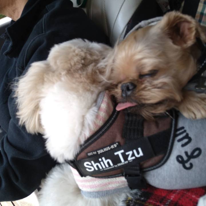 E5f1eb1d b628 4cee 8876 341b7533aa0a 1619503850974