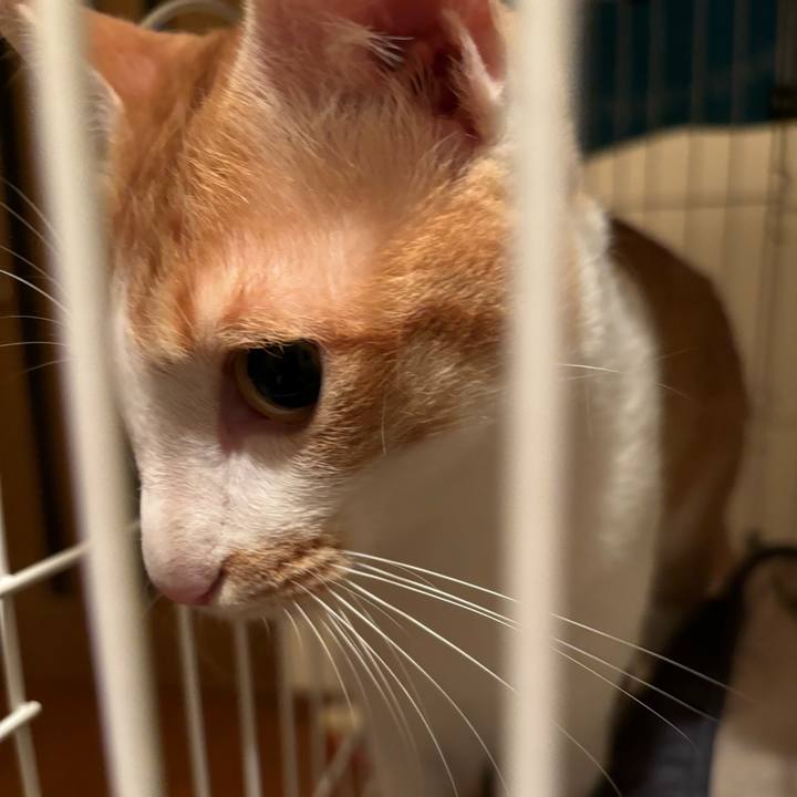 E5f1f898 1bb6 4f64 9e10 5c3f2c4c6d9f 1719149689691