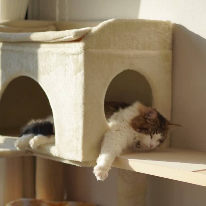 E5f21902 92c2 46fc a501 5bc5dc438021 1678868410611