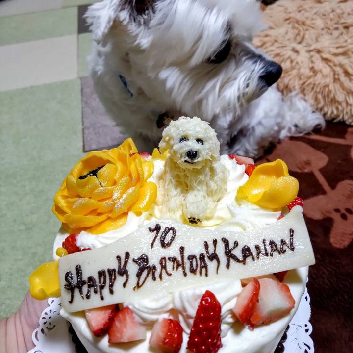 E5f21e5e 5f27 4b81 9b7e 4fd921e122ba 1711319627470