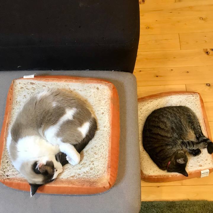 E5f22379 25bf 4cff bb71 10a4941db9d1 1583069334590