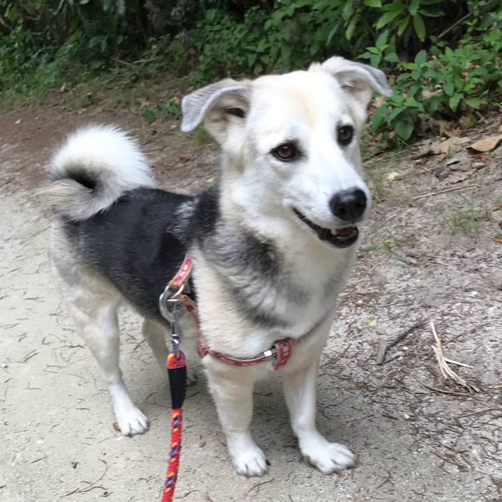 E5f23b9b a0ee 4ec3 9b6f 34c071ba00fe 1554000568631