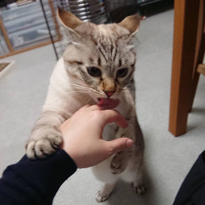 E5f286b2 7240 4eda adcb 29c424d57706 1513600184627