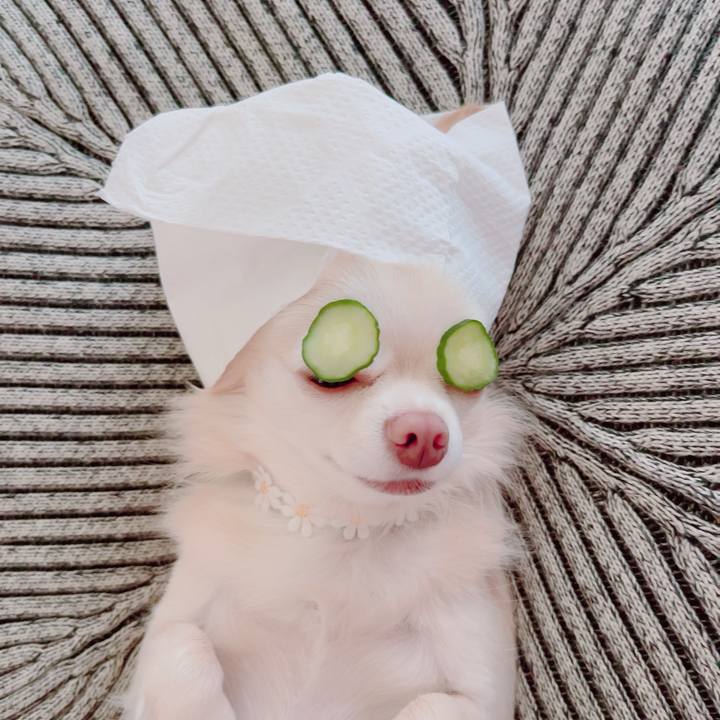 E5f2a67d 7813 45fd aef7 2df83dcd9ce8 1693557433719