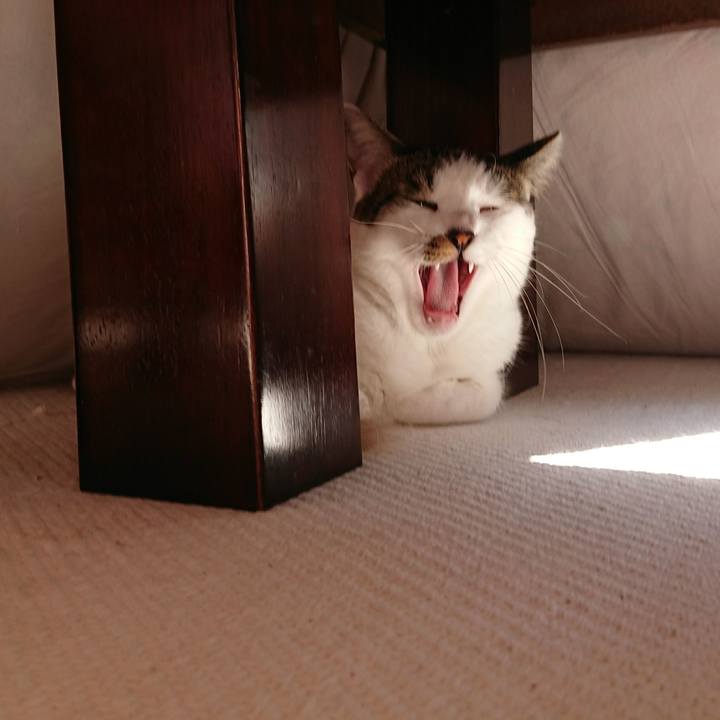 E5f2aa20 0c79 4b3d ad5b ab42fb6ddbf2 1509862060775