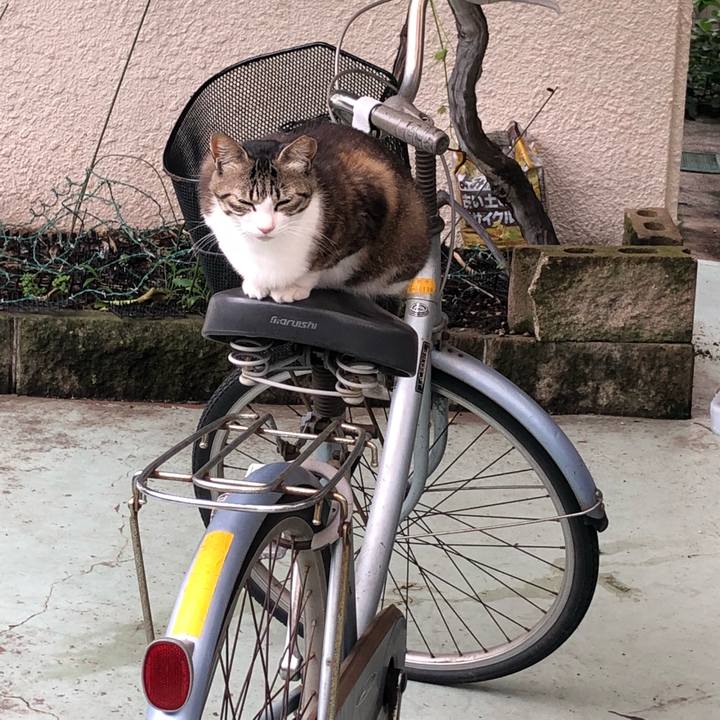 E5f2dd21 2c08 46b0 a3ef ed8c515457b7 1529584203380