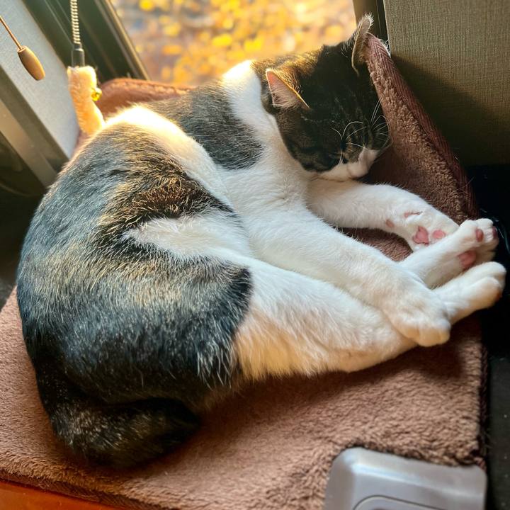 E5f2e8de b235 4f0f bcf4 64d5f7d31bb1 1763822564398