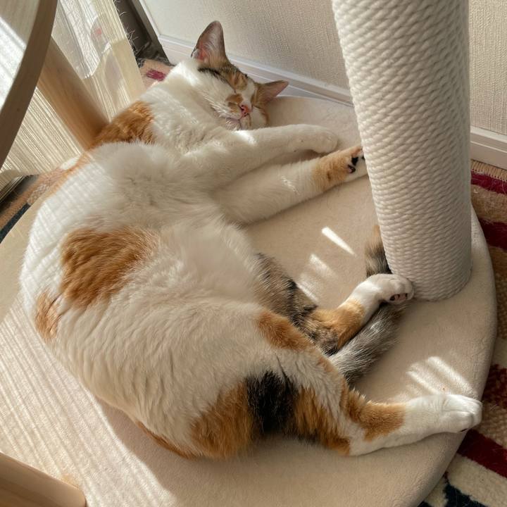 E5f2f4f2 f123 44a2 92e2 a030361b771b 1621753624520