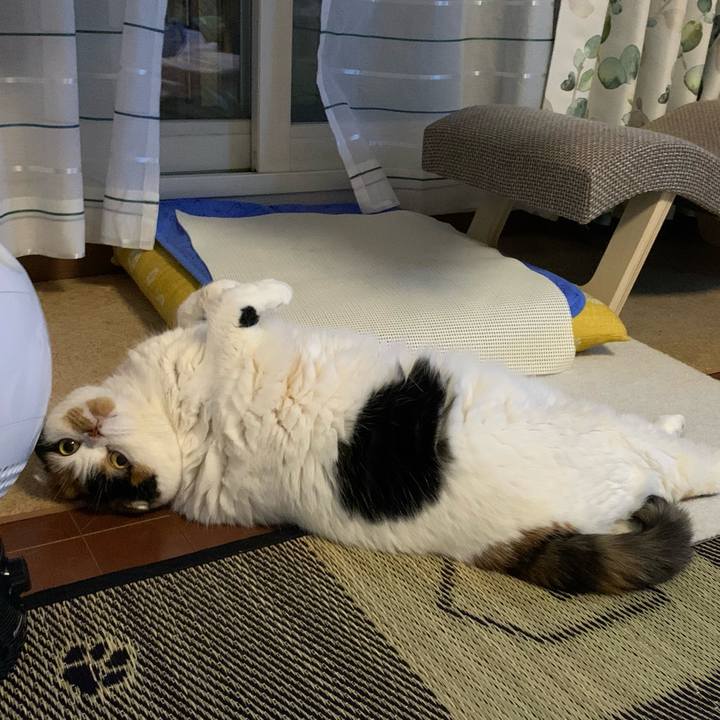 E5f317f5 31dd 43d4 bf93 5c14b5597e07 1602723231587