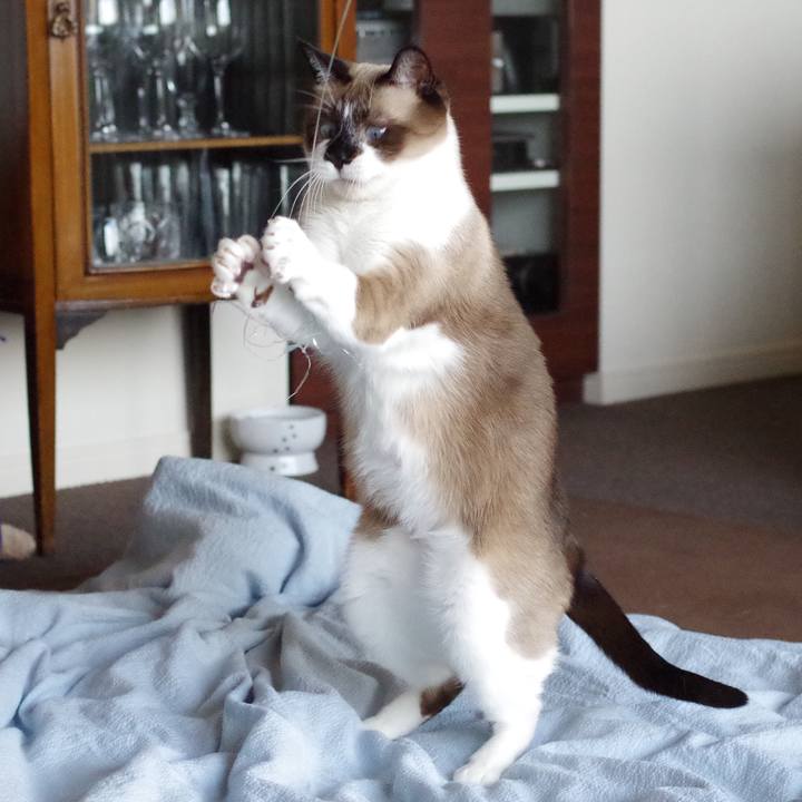 E5f31ec6 44c8 4bba 8cc6 cd755292dfd1 1547123153695