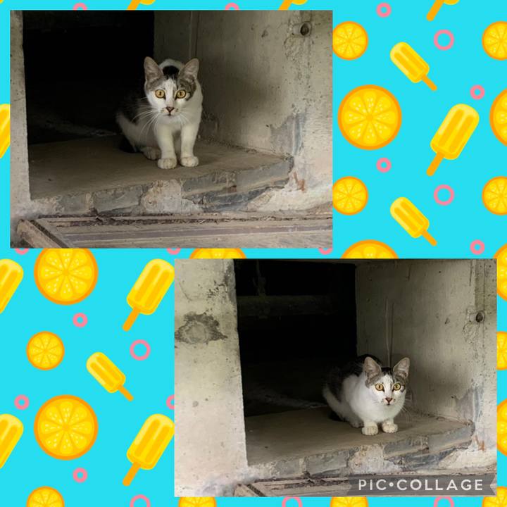 E5f322c8 acdc 4c3c 8faa 849202b846af 1624841522953