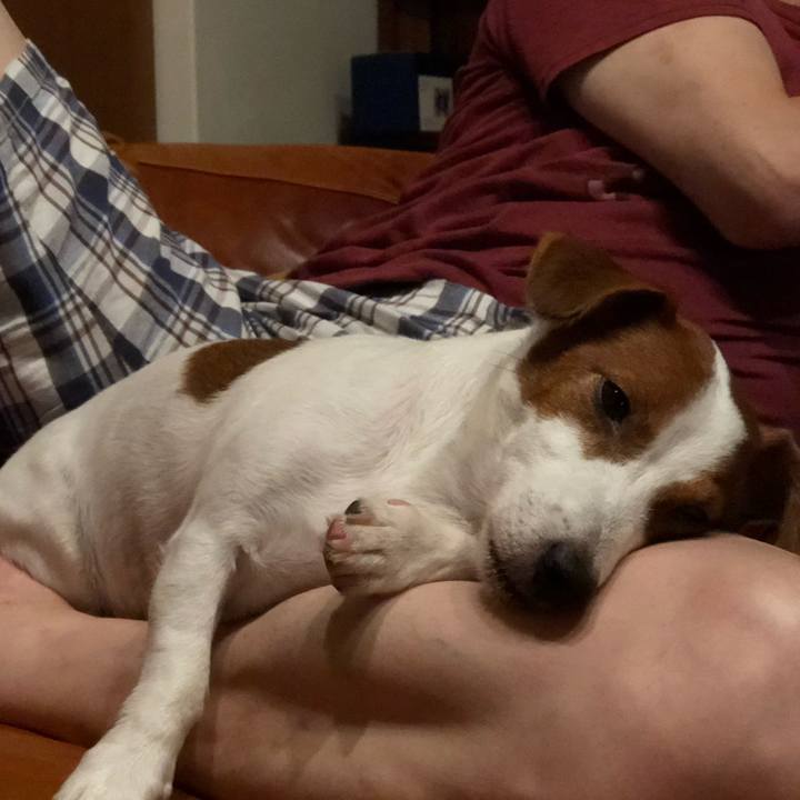 E5f36026 25e3 4ae1 97c3 38402c47f3ba 1632034543293