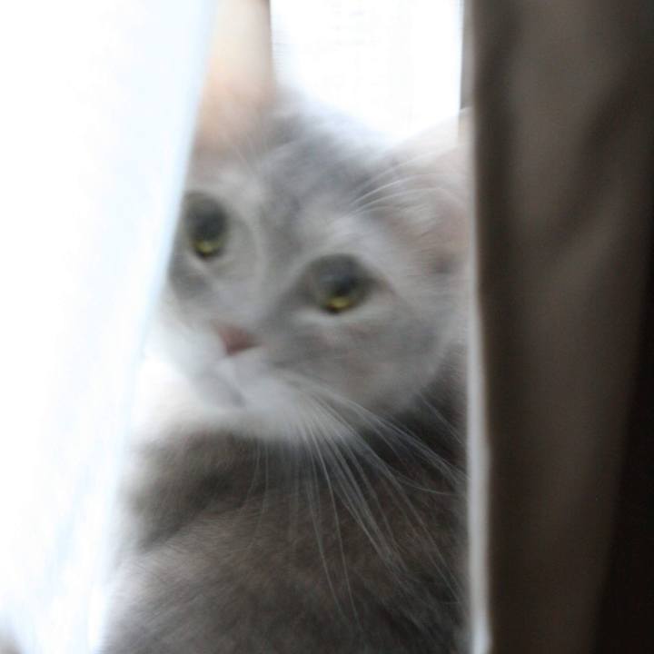 E5f39dc3 effc 4242 ab65 8a8aed458b4b 1545436258081