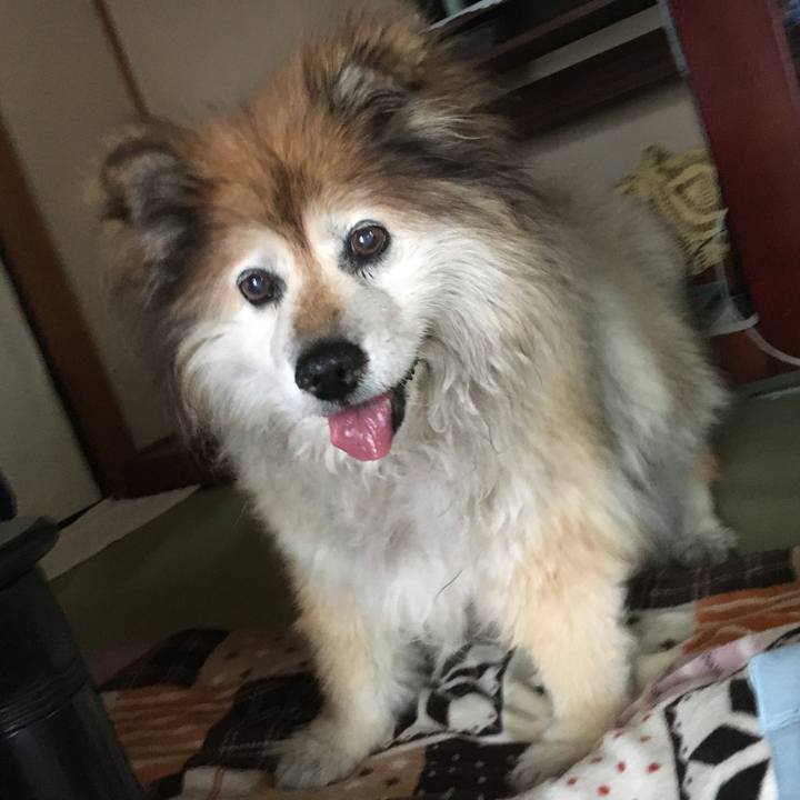 E5f3a03f 86fc 4174 88e2 d15fc4cf3f76 1582376788783