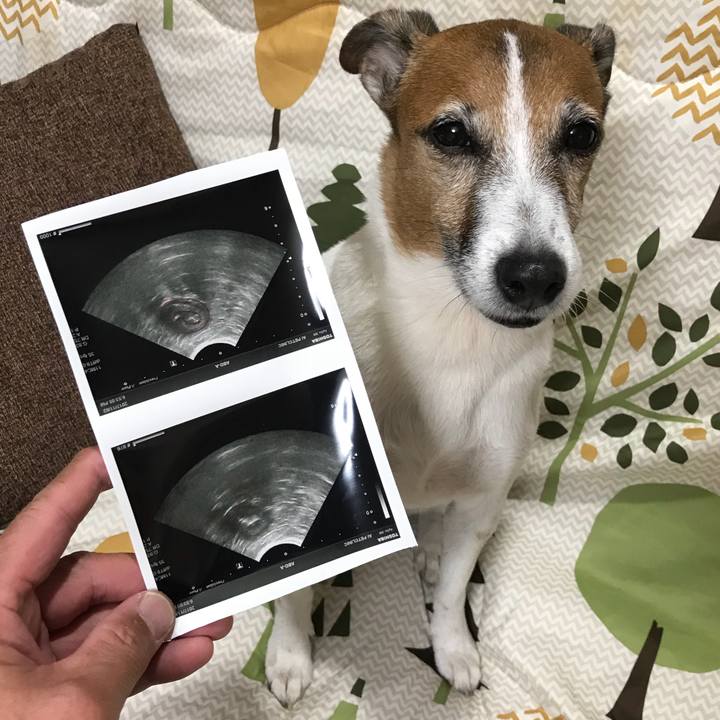 E5f3e05f 076d 470e b928 5be35b76cc60 1509624281522