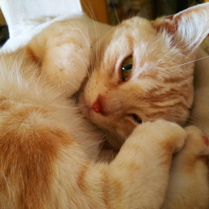 E5f464e9 05f8 43bc b677 2c0094b25d8e 1521534443880