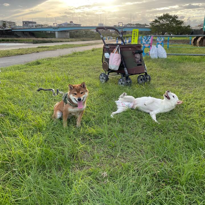 E5f474fe 0509 43fe ab1b 767cbcfdf9ec 1665396320272