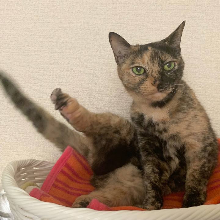 E5f4b211 f878 4367 8f9f 19a45b1fe9e5 1598742882082