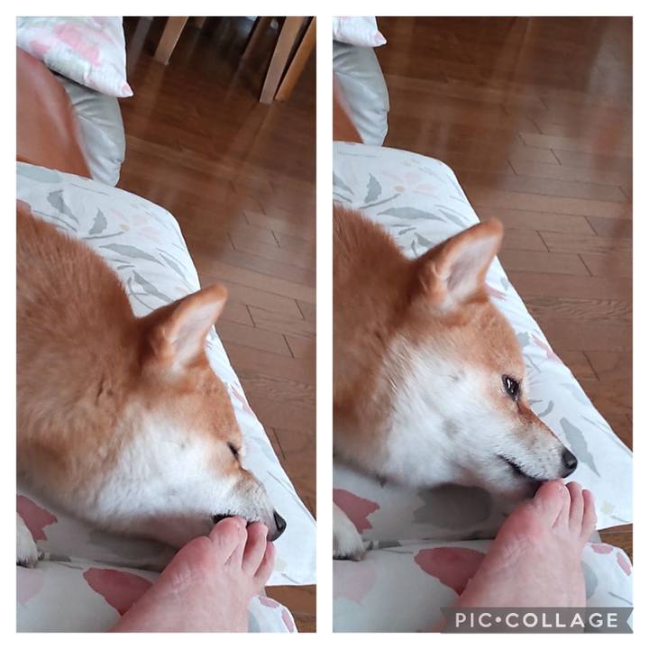 E5f5149c b623 4062 986e fe21016316d0 1692423242641