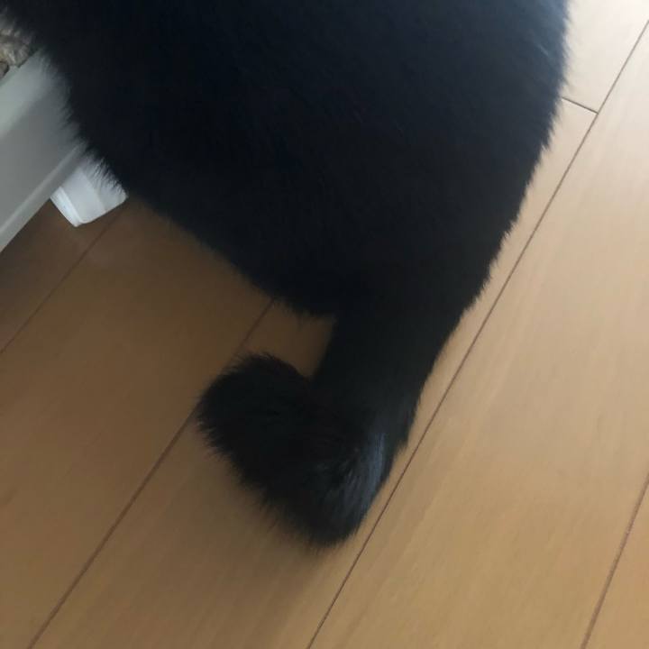 E5f529a7 3ed9 48d3 b0b0 d8ef9ad9136c 1552091151818