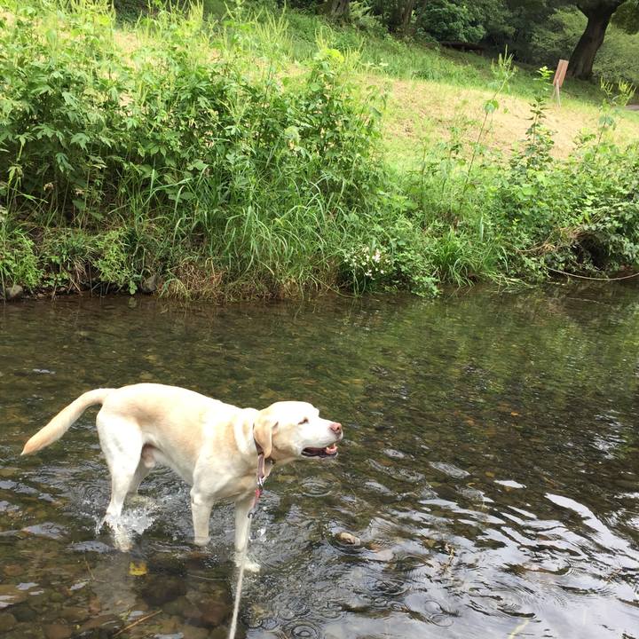 E5f52a31 3a49 484b 8863 84481375a829 1536657437539