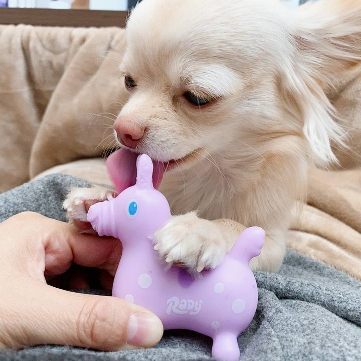 E5f571ac 17d8 449a a835 02b0dbd08eb7 1611053597424