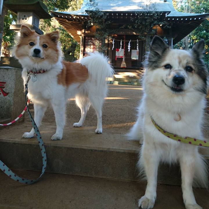 E5f57c47 793d 4d88 aff6 a096759ce59d 1578047312406