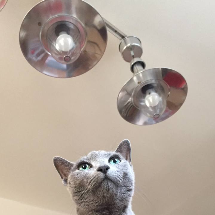 E5f5d07c 105c 4af3 ab4a a06b62346df3 1535262374403