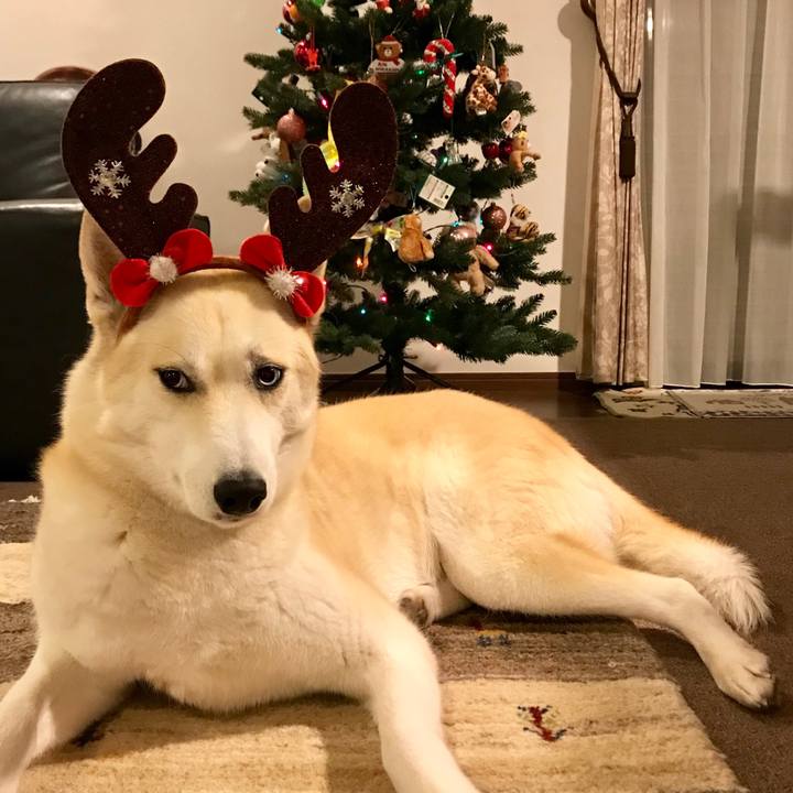 E5f5e672 1d5e 4e7f a64b 8e851b853162 1545644663584