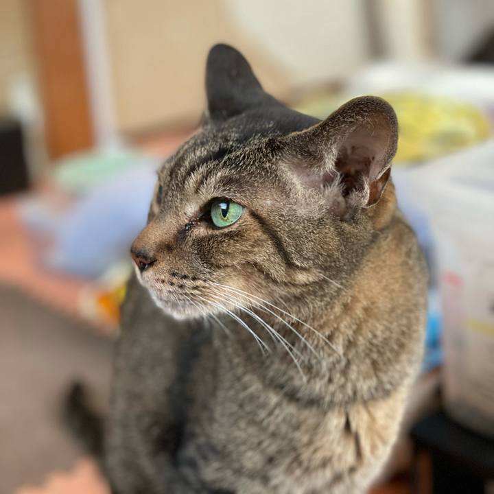 E5f5fc4c 7b13 4092 ae03 a3830097abc0 1627178035939