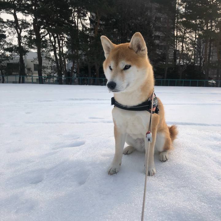 E5f6101f dd90 42fa 9d00 658e7ca9e934 1551844951158