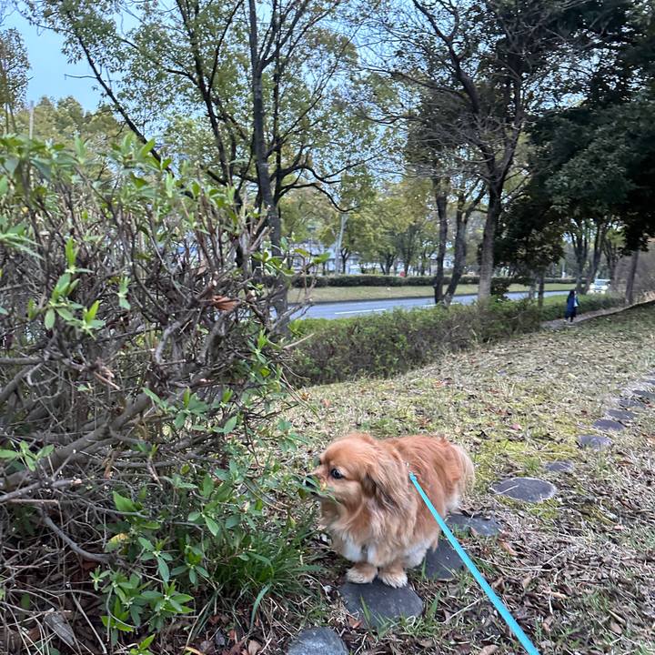 E5f62951 3a81 4b87 8528 9aebcbc5073d 1680642587369