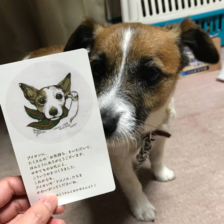 E5f62f89 dd4b 4c19 ae8f 50fbf98ce771 1527939367586