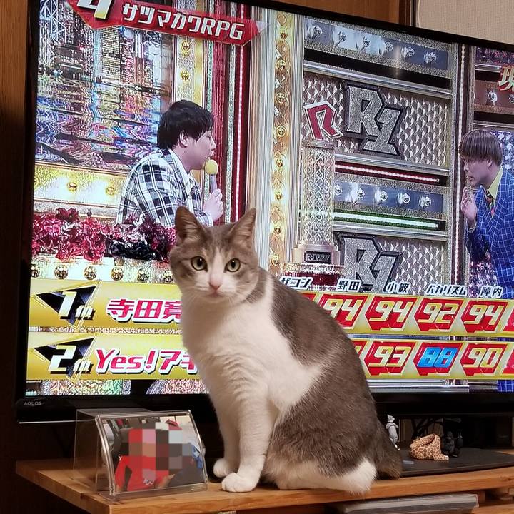 E5f6b608 cd55 4502 a698 3e2c8ef2f782 1677940177375