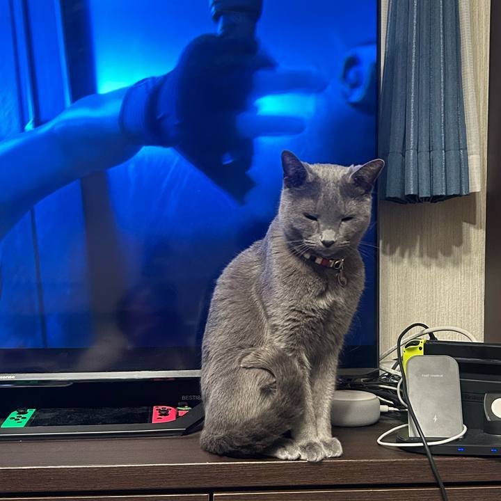 E5f6d421 2cdf 4b37 99e5 f971d1c85e8c 1741137867120