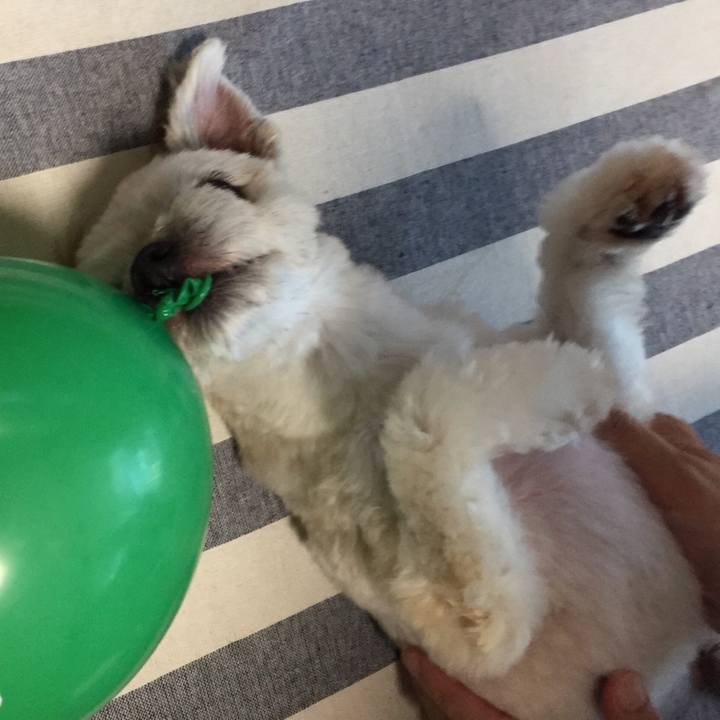 E5f6f84d 5535 4daa b51d 38be7c8a55fa 1534332699158