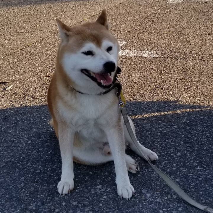 E5f72b6f 50e0 498b b274 83811e840510 1633590646346