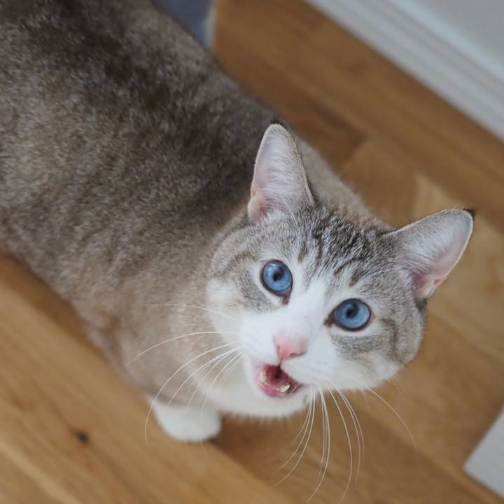 E5f75489 2d93 46c6 8eaf 1965f302fba8 1607850511547