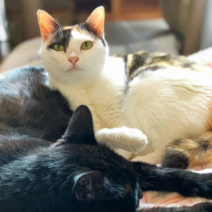 E5f79cd7 3226 4694 b958 0b82cc5ff662 1596678232805