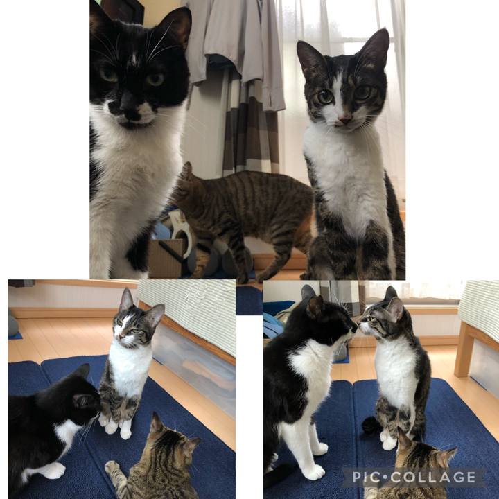 E5f79ee3 ff8c 4b15 80e4 edaff187cb72 1635541593787